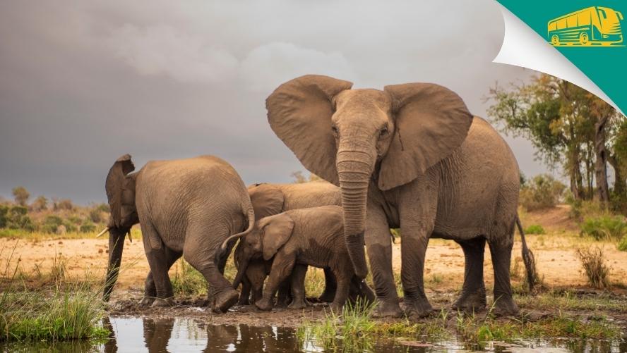 South Africa – 16 Night Escorted Tour