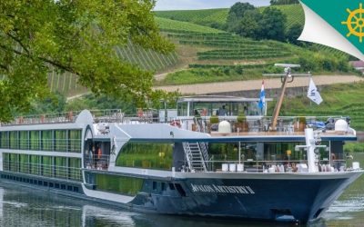 Bonjour Bordeaux – Luxury River Cruise (From March to November)